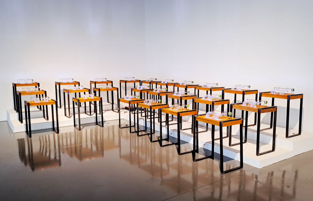 1-16-2 감각의 문법_현대인_1